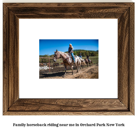 family horseback riding near me in Orchard Park, New York